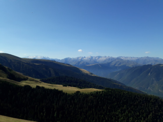 Au sommet de la pique