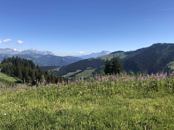au sommet du Mont-Rond