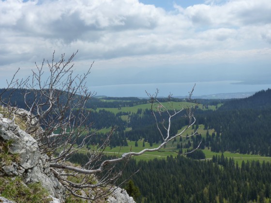 Vue depuis le sommet du Mont Sala