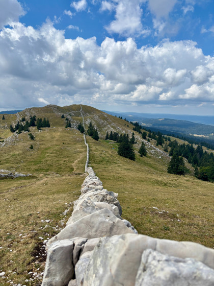 Au sommet du Mont Tendre