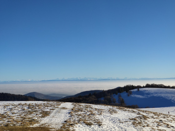 Au sommet, les Alpes !