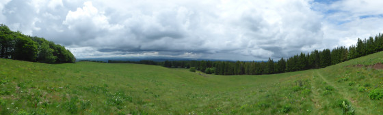 Au sortir de la forêt, côté Cantal