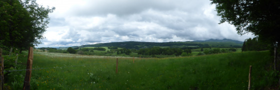 Au sortir de la forêt