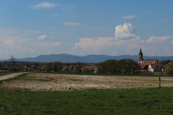 Au sud de Vézelois.