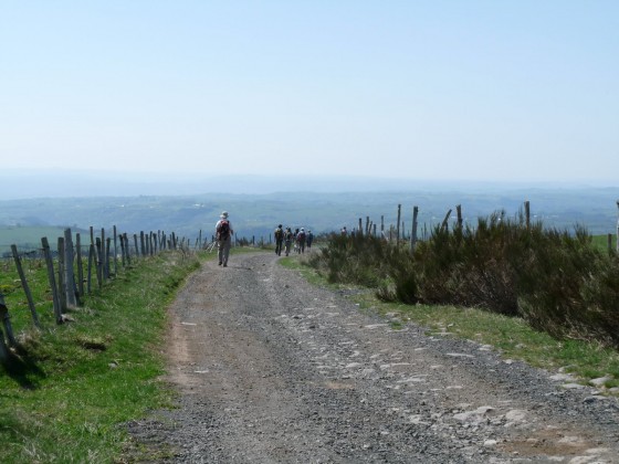 Aubrac
