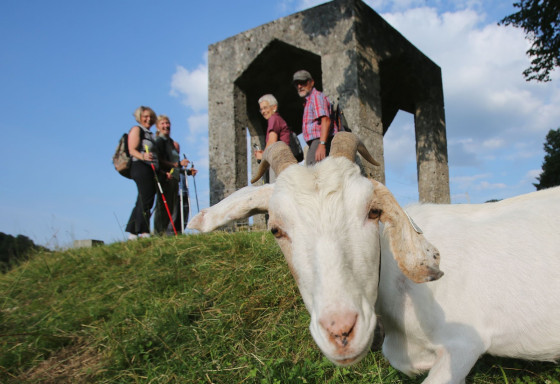Sur la colline du ch&acirc;teau