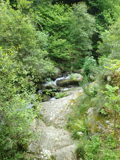 Auprès de Ribera de Fillols