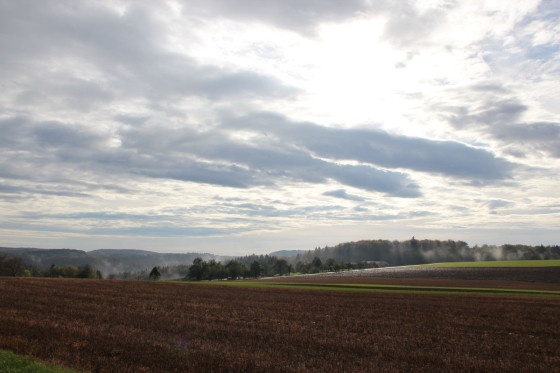 Ausblick auf die Felder rund um Wittlingen