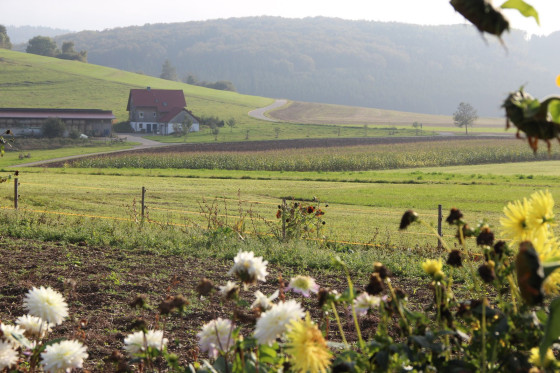 Ausblick auf die Wiesen und Felder