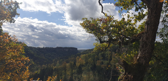 Blick zurück in die Wutachflühen
