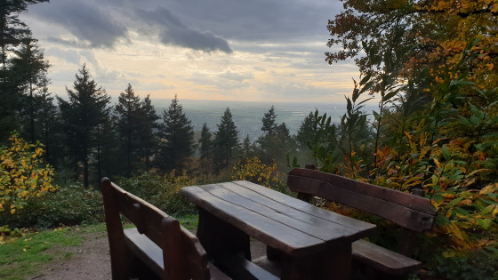 Vue depuis le Geiersbergkopf