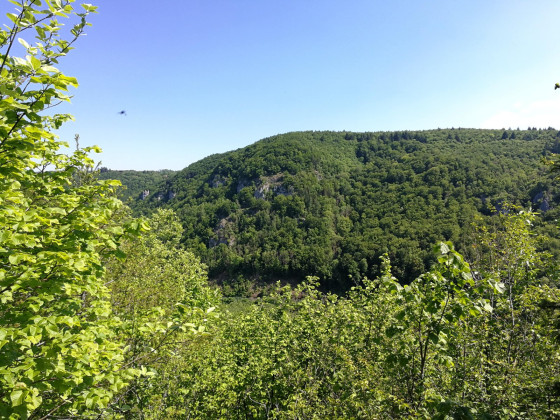 Ausblick von der ehemaligen Burgruine Blankenhorn