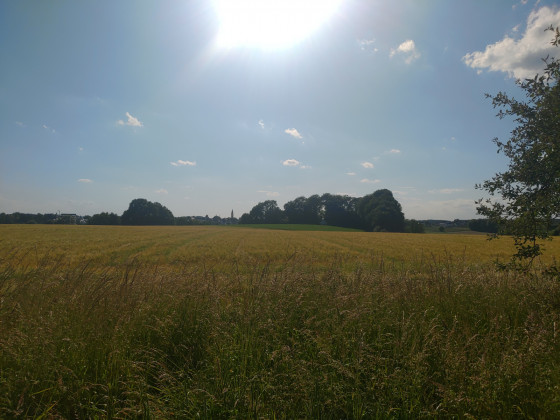 Vue sur le sentier panoramique d\'Altomünster