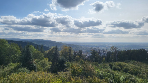 Aussicht vom Hirschkopfturm