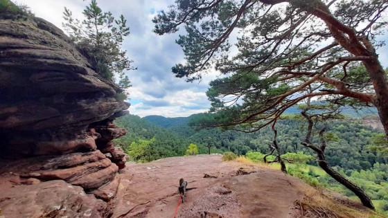 Aussicht vom Kahlen Felsen