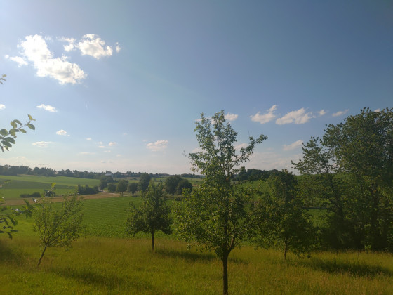 Vue sur le sentier panoramique d\'Altomünster