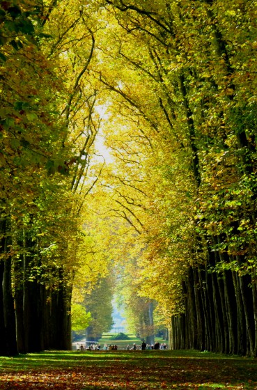 Automne à Versailles