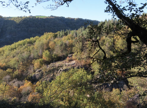 Automne