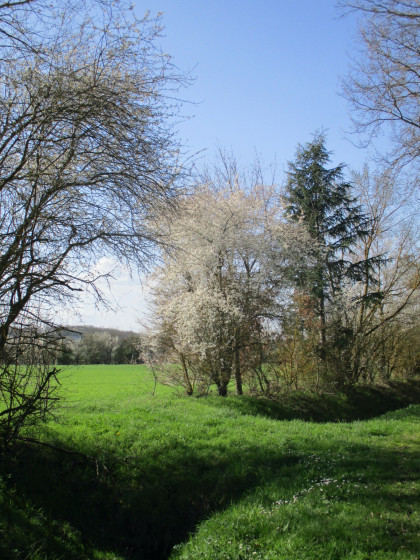 Autour de St-Marcel-Paulel