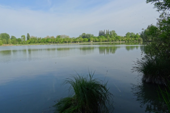 Autour du Lac