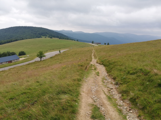 Autour du Markstein