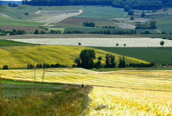 Autour du Mont Saint Jean