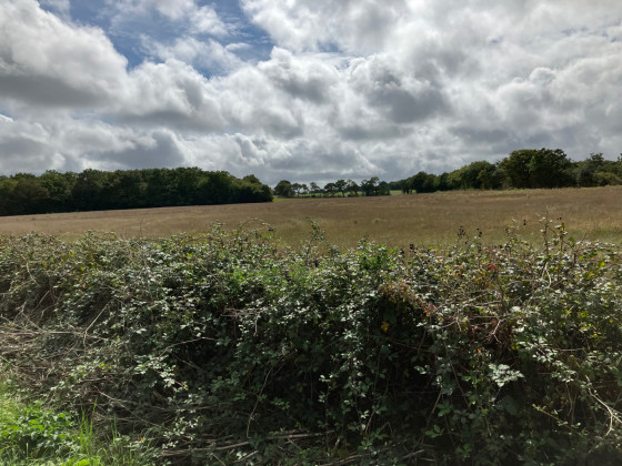 Autre panorama