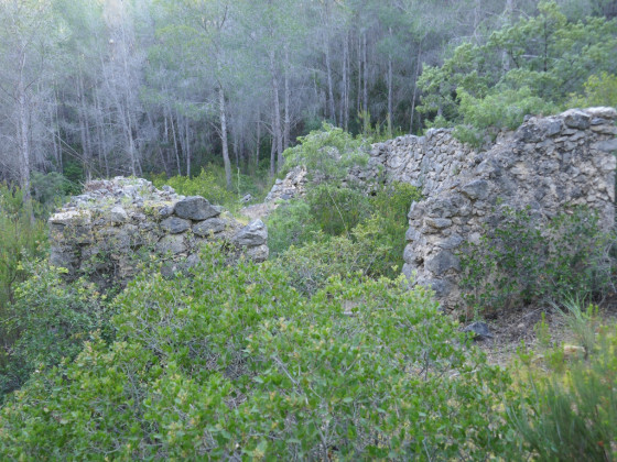 Autre ruine