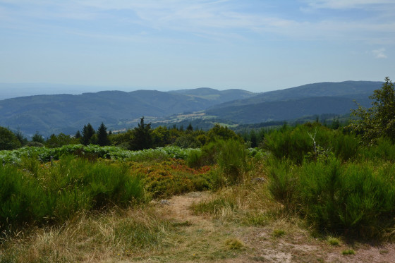 Aux abords du Roc du Vacher