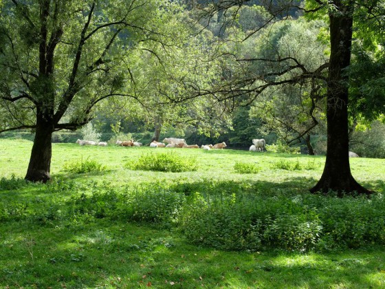 Avanne : La vallée du Doubs