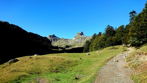 Avant d\'entrer dans le bois.