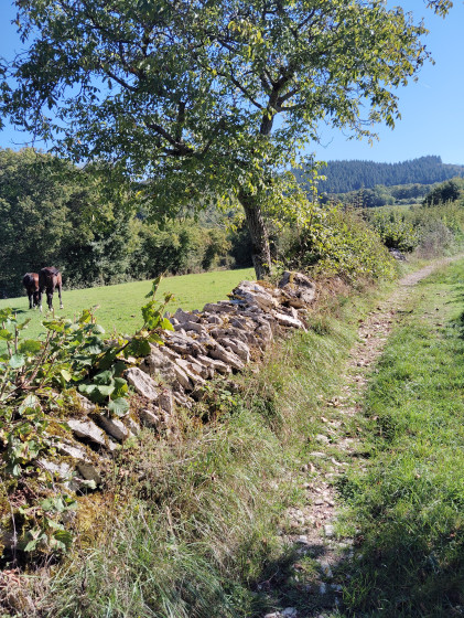 Avant d'arriver à Vivier