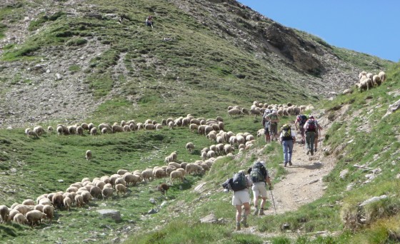 Avant d\'arriver au col des Estronques
