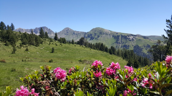 Avant de parvenir au col d'Estoudou