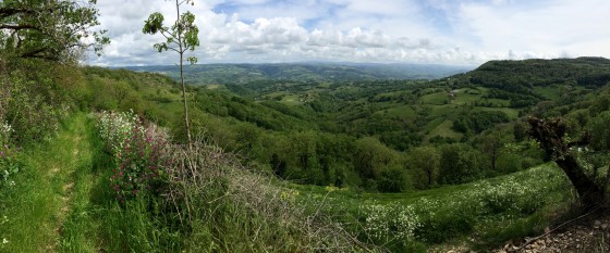 Avant de redescendre