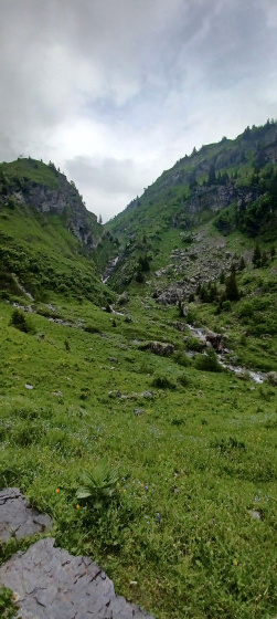 Avant l'arrivée au lac