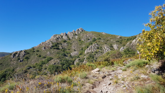 Avant l\'arrivée au sommet