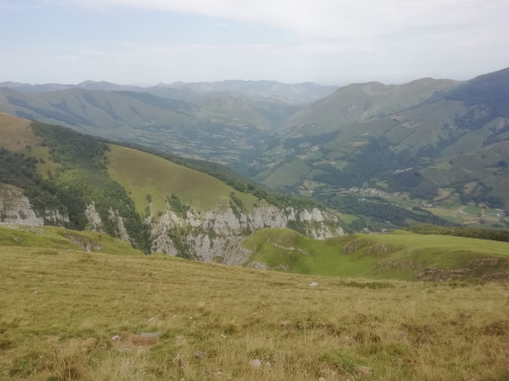 Avant la descente dans la forêt