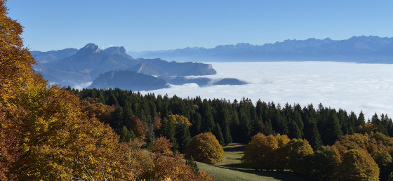 Avant le Pas de Bellecombe, au loin le Mont Blanc...