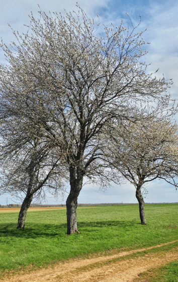 Avant le point n°6