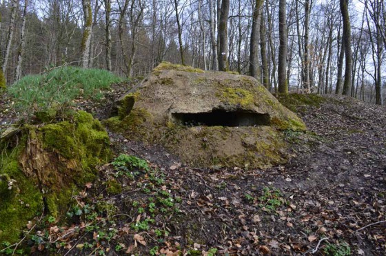 Avant poste Allemand berge N°2