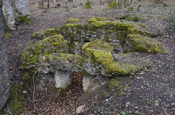 Avant-poste d’infanterie allemand du pont de la Largue (ouvrage N°8)