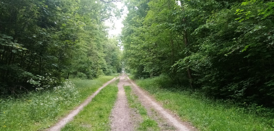 Avenue du Mail