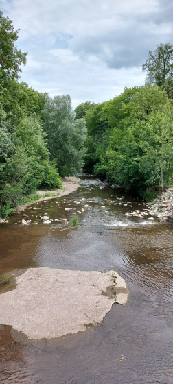Avolsheim