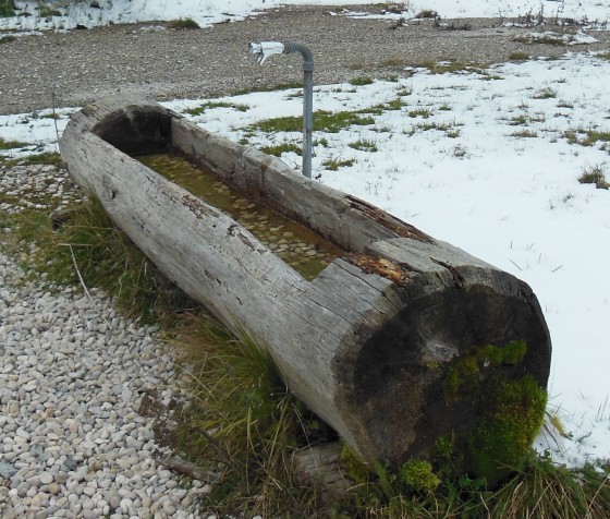 Bacha de la Fontaine Henri Jeanneret