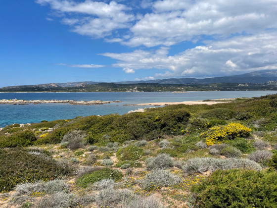 Baie de Figari