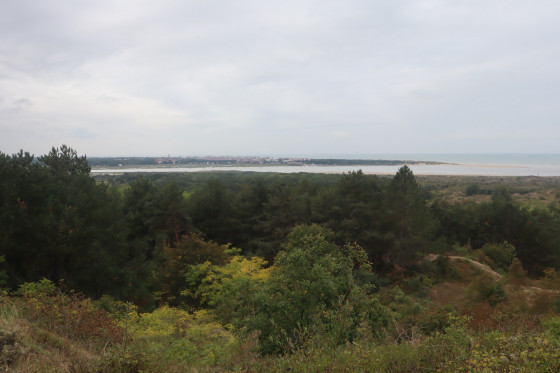 Baie de la Canche