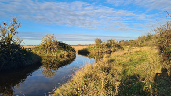 Baie de Sallenelles