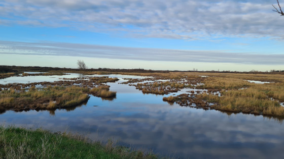Baie de Sallenelles
