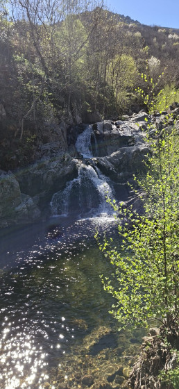 Baignade